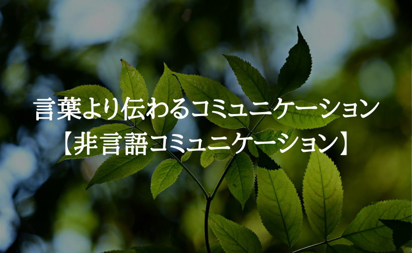 言葉より伝わるコミュニケーション 非言語コミュニケーション オンラインカウンセリング Myイマココ